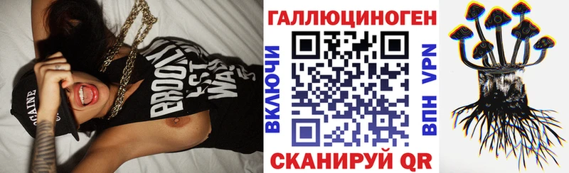Псилоцибиновые грибы MAGIC MUSHROOMS  где найти наркотики  Завитинск 