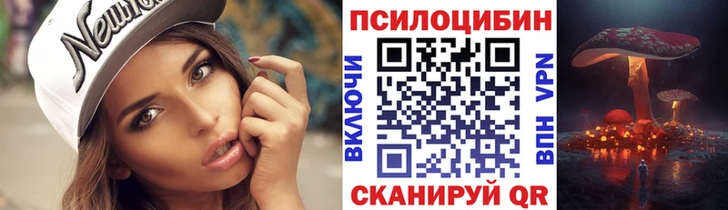 Псилоцибиновые грибы Psilocybe Завитинск